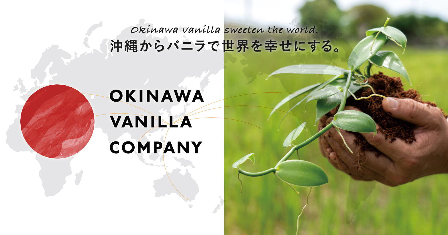 沖縄からバニラで世界を幸せにする” The Okinawa Vanilla Company”を始動